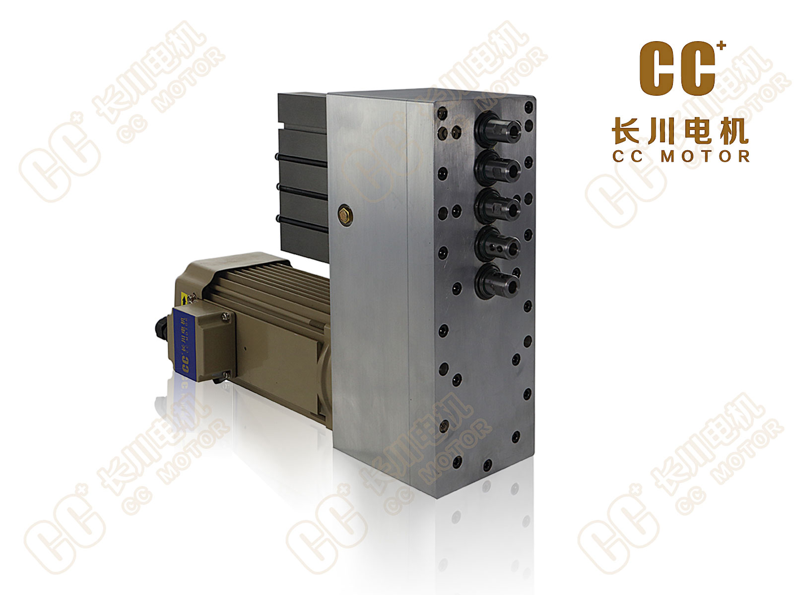 CWD-V5